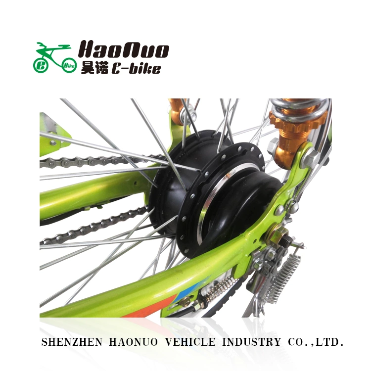 24 Inch 48V 500watt Gear Motor Chinese Cities Electric Bicycle for Sale