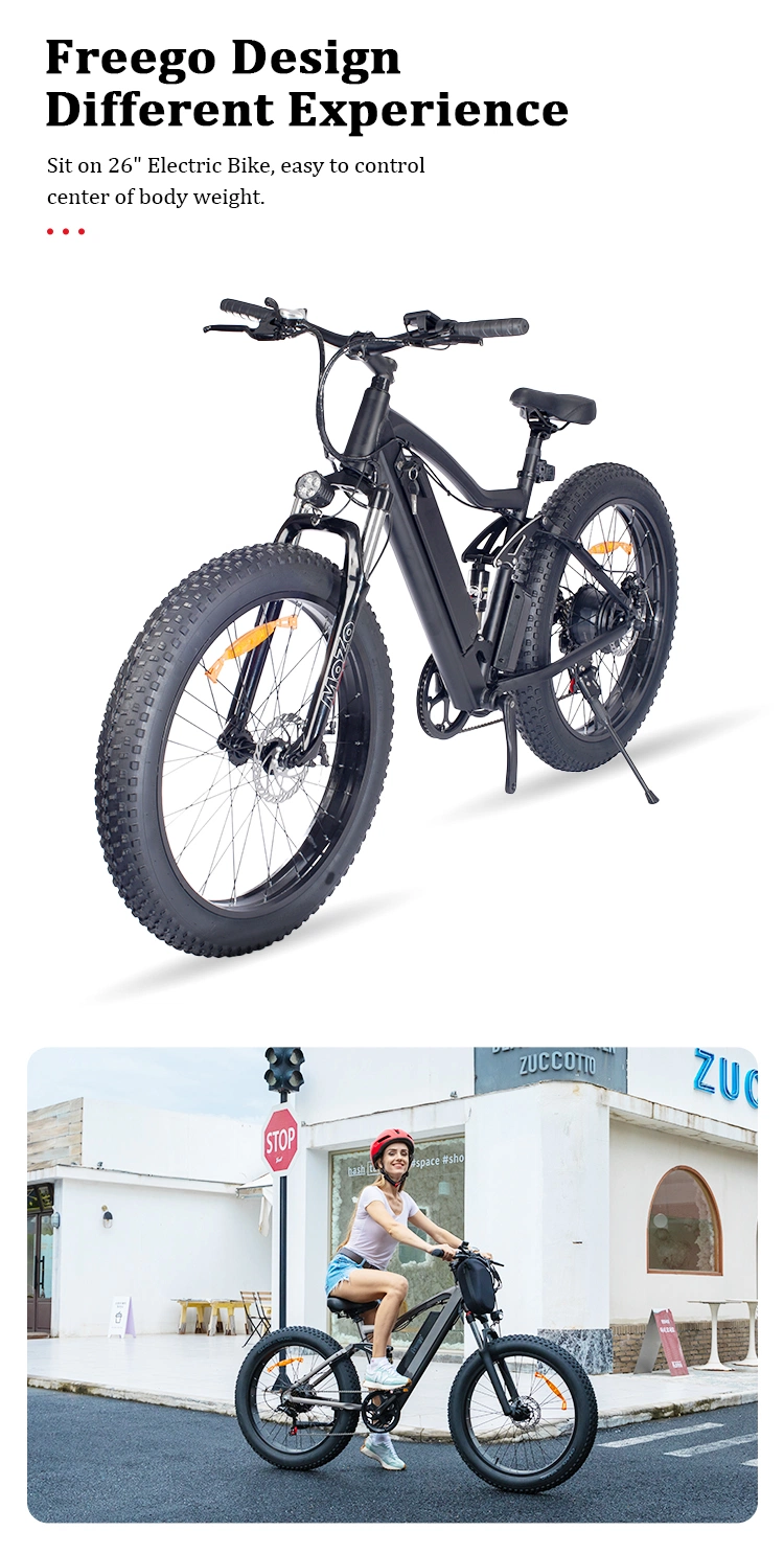 Electric Hybrid Bike Electric Mountain Fat Tire Bike Electric Bicycle Ebike