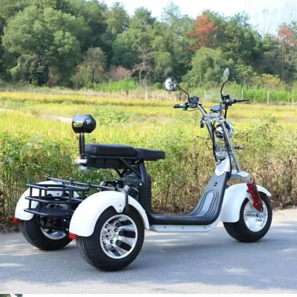 2000W 3 Wheel Electric Motorcycles Adult EEC Coc Three-Wheeled Electric Scooter