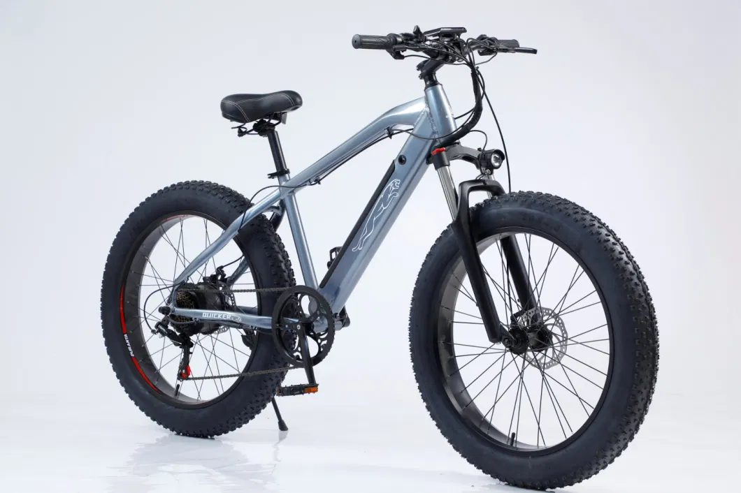 Tetong Fat Electric Bike Carbon Fiber, Electric Mountain Bike, Vtt Electric Bike