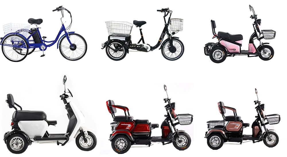 Electric Tricycle Standing Triciclo Electrico De Pasagero Three Wheeled Electric Bike for Adults