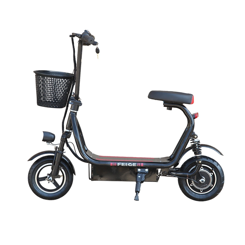 Folding Electric Bike Bicycle Foldable Electric Bike