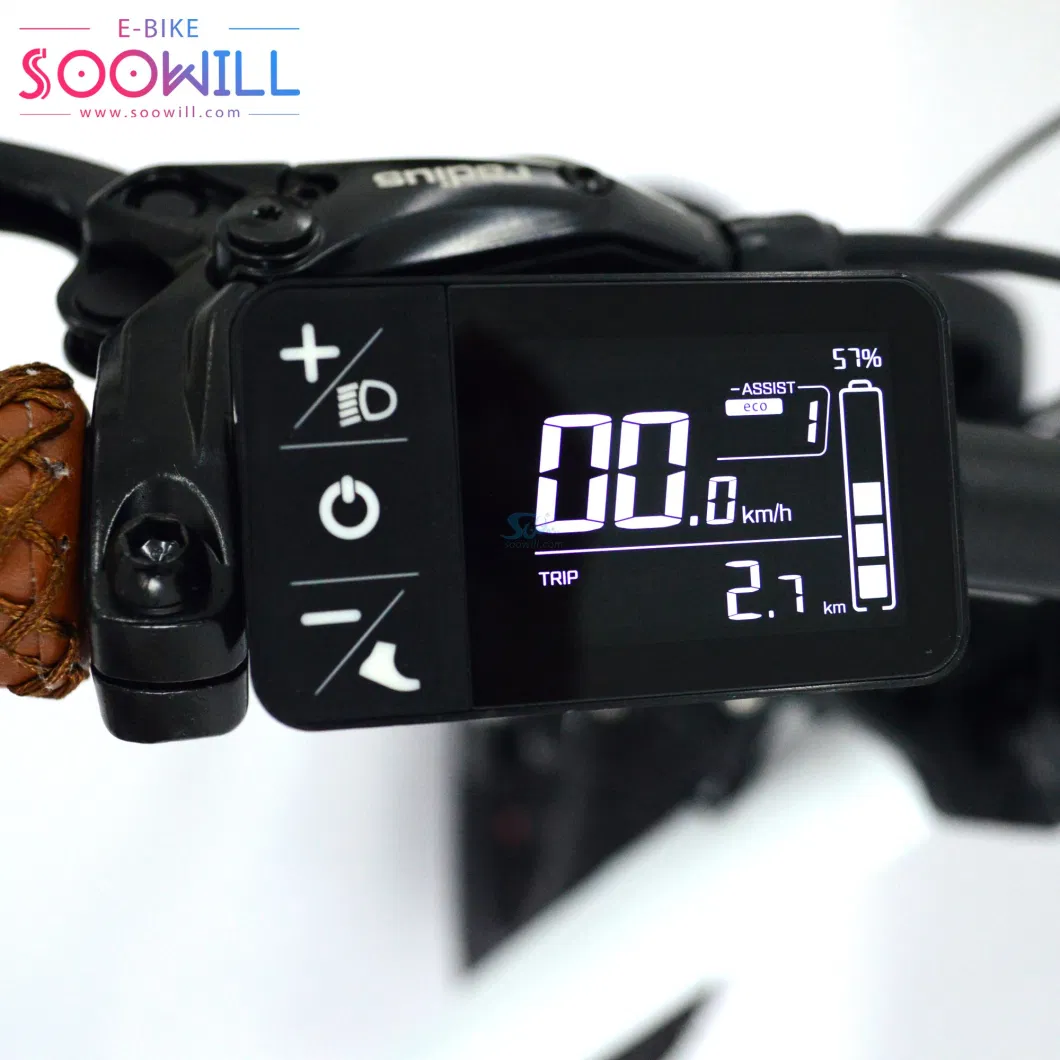 Soowill Lithium Battery 4-6 Hours Charging Time for Electric Bike Ebike