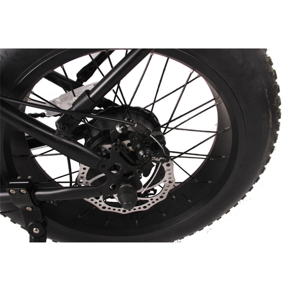 Fat Bike Fat Boy 1000W 750W with Suspension Fatbike Foldable Electric Bike