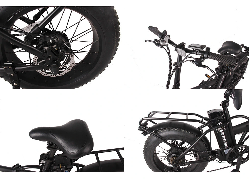 Fat Bike Fat Boy 1000W 750W with Suspension Fatbike Foldable Electric Bike