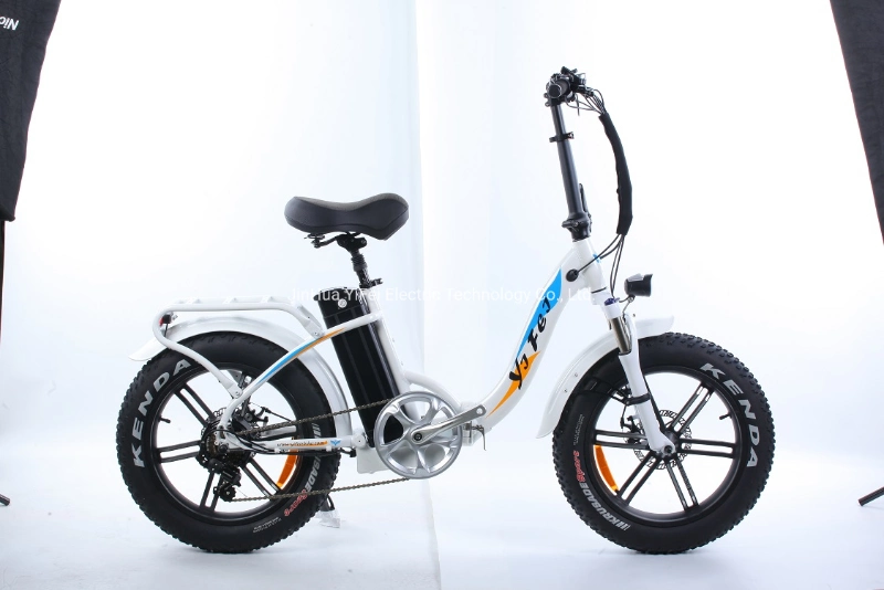 Lady Women Gilr Electric Bike City Beach Snow Mountain Electric Bicycle Ebike