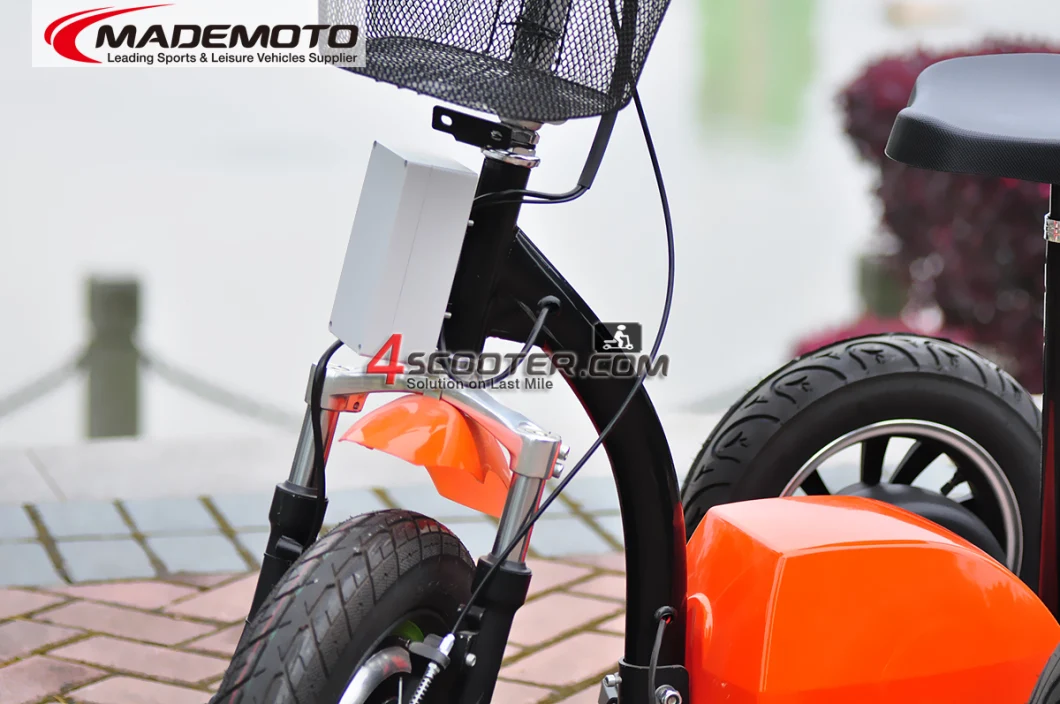 Stable Quality 3 Wheel Electric Mobility Scooter on Sale