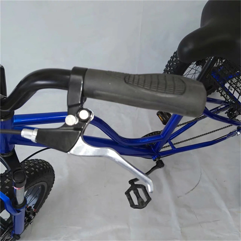 Adult Tricycle 6