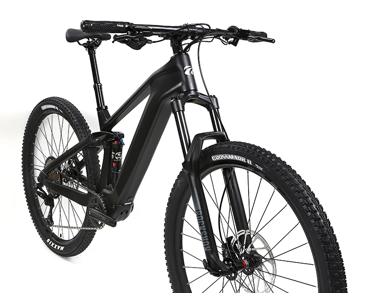 Ultralight Carbon Frame Mountain E Bike Battery Removable Rochshox M820 Electric Bicycle Bike