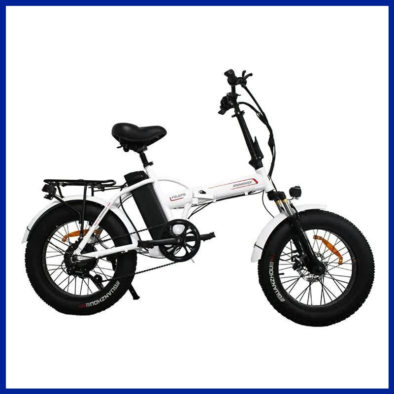 Fat Snow Electric Bike with Rear Motor