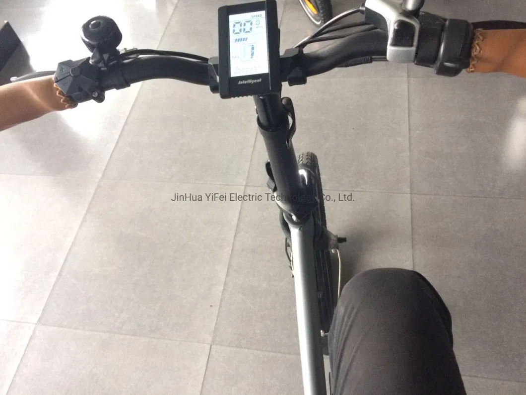 New Design Electric Foldable Bicycle Electric Bike En15194 Approved