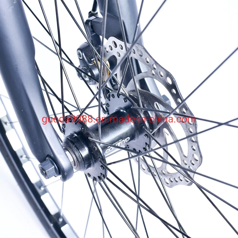 700c Aluminum Electric City Bike E Mountain Bicycle Road Cycle