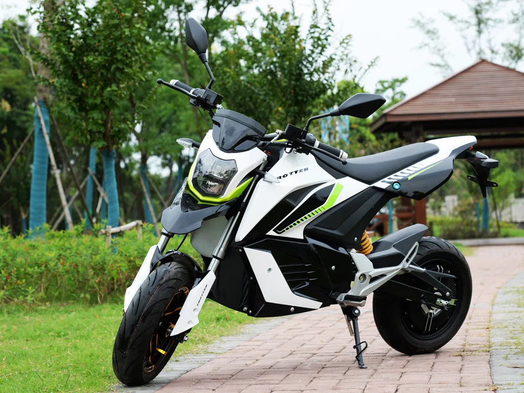 High-End Electric Motorcycle High Power Battery Long Endurance Electric Motorcycle