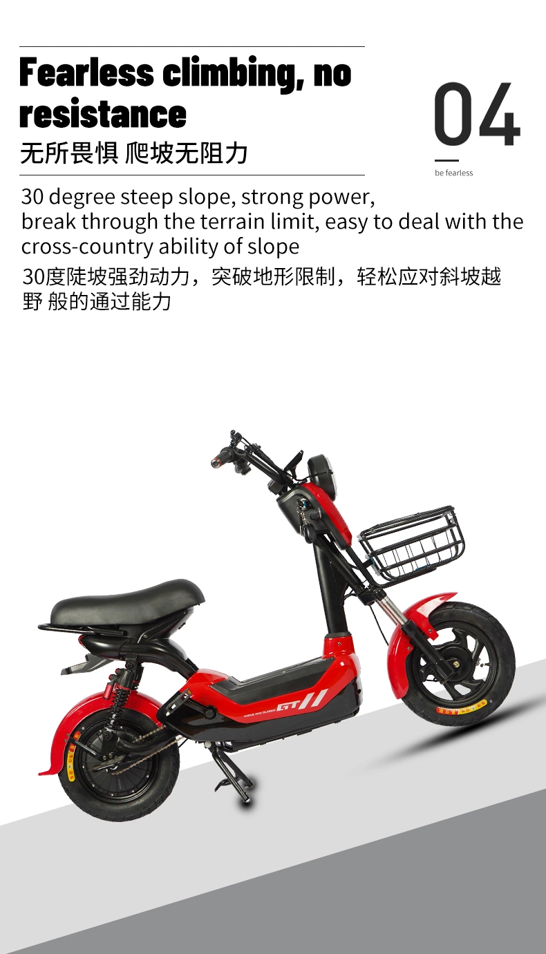 2 Wheel Electric Bike Scooter Motorcycle Electric Bicycle