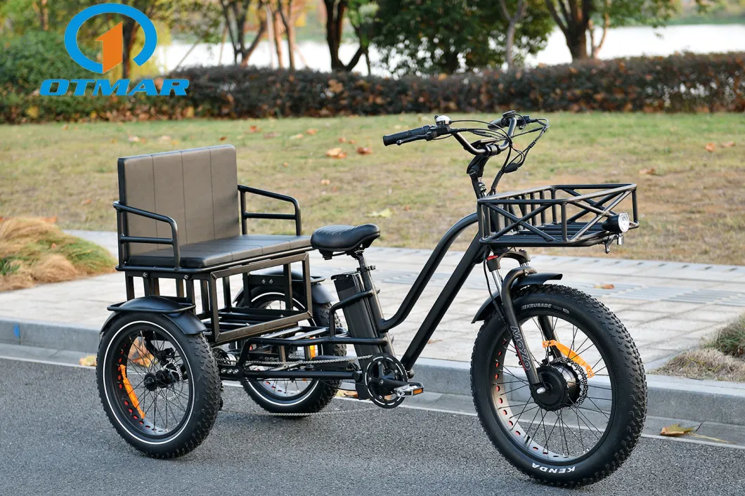 24inch Cargo Electric Tricycle Framily Front Drive 2 Person Electric Tricycle