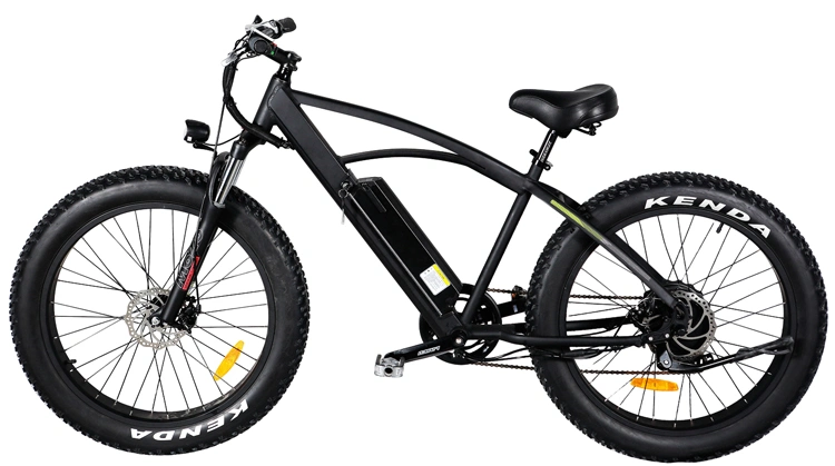 PAS Integrated Electric Fat Mountain Bike/ Big Power Electric Bicycle