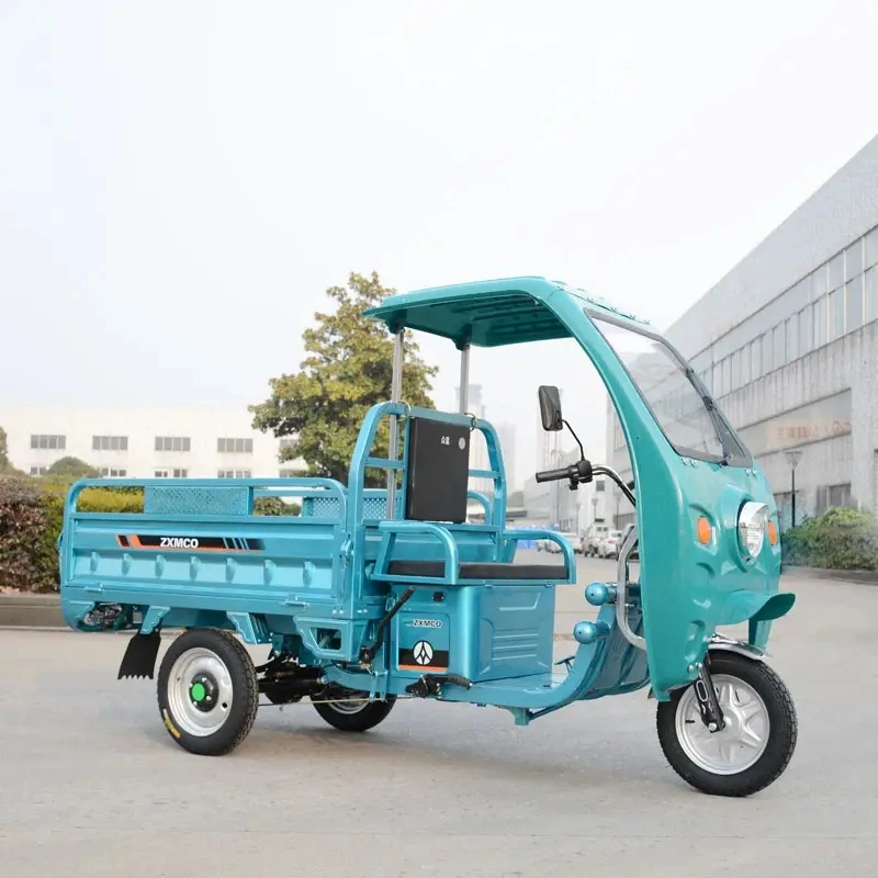 Factory Big Power Electric Tricycle Enclosed Body 3 Wheels Electric Motorized Tricycle Cargo