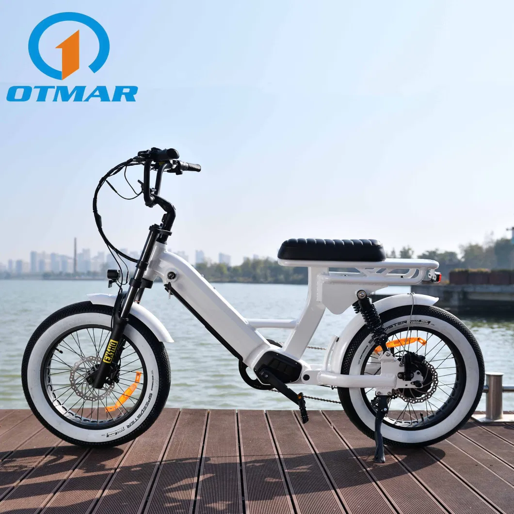 New Design 20 Inch Integrated Battery Retro Electric Bicycle