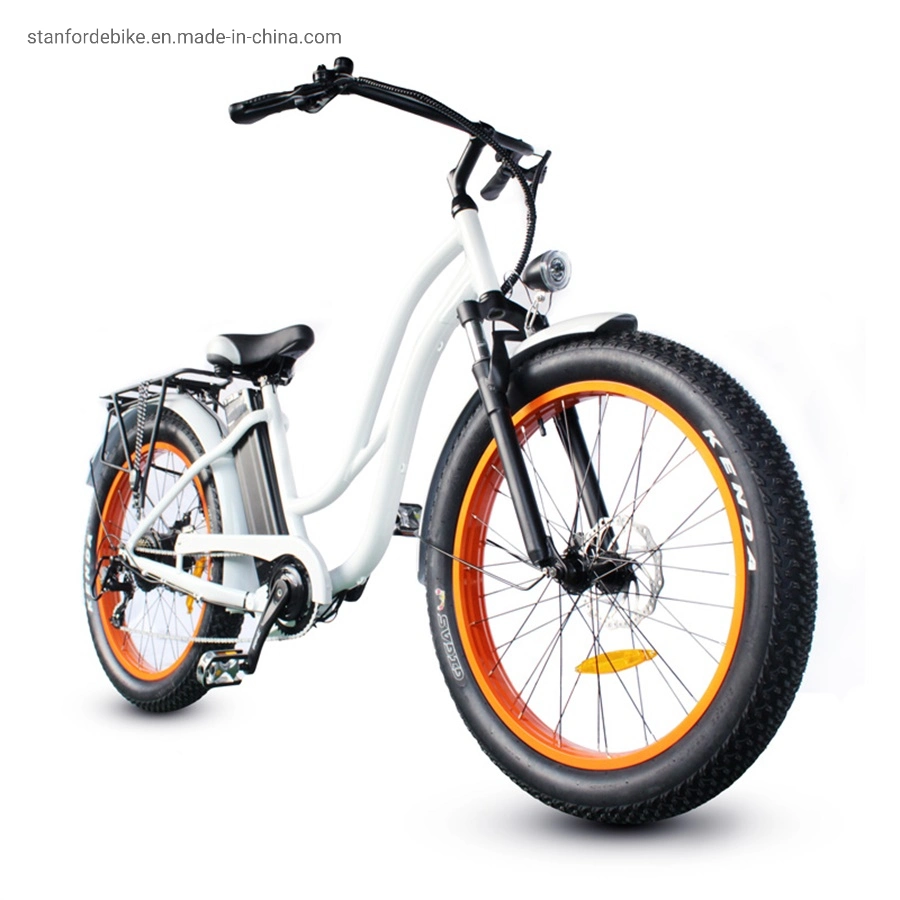Electric Bicycle 2023 New Design Stf-1 500W MID Drive Electric Power Assisted Light Weight Bicycle Ebike