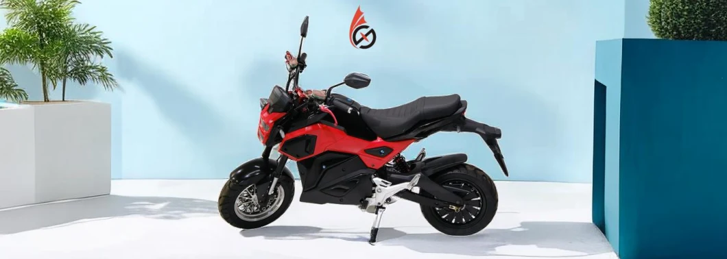 Assembly Racing Electric Motorcycle 120km/H Top Speed Motorbike 72V 60ah Lithium Battery off-Road Ebike