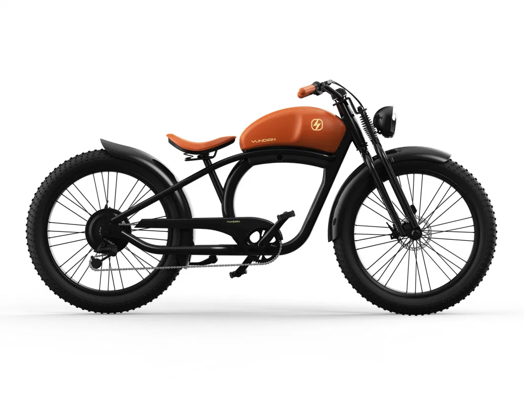 Old-Fashioned 7 Speed with Electirc Dirt Biike Electric Bicycle Bikes E Bike