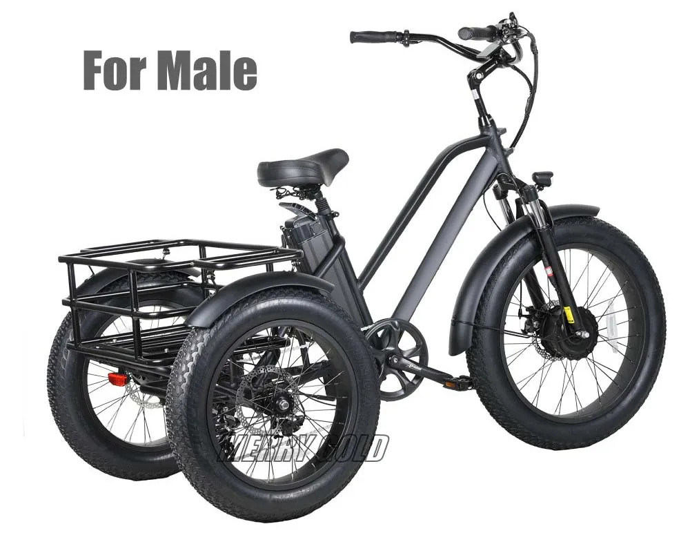 24 Inch Electric Trike 750W Motor Fat Tire 3 Wheel Trike Three Wheels Cargo Electric Bike Trike with Basket