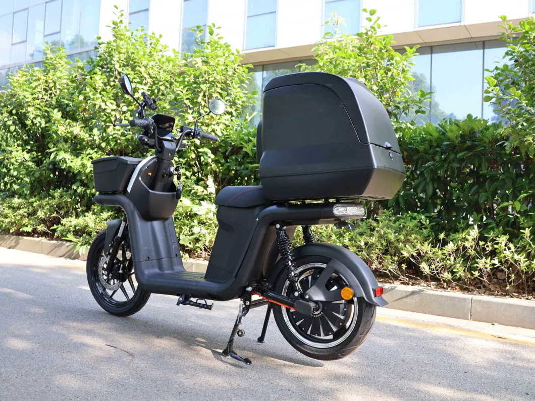 Delivery Electric Scooter Bicycle Electric 2000W Motor 2 Wheel with EEC L1e