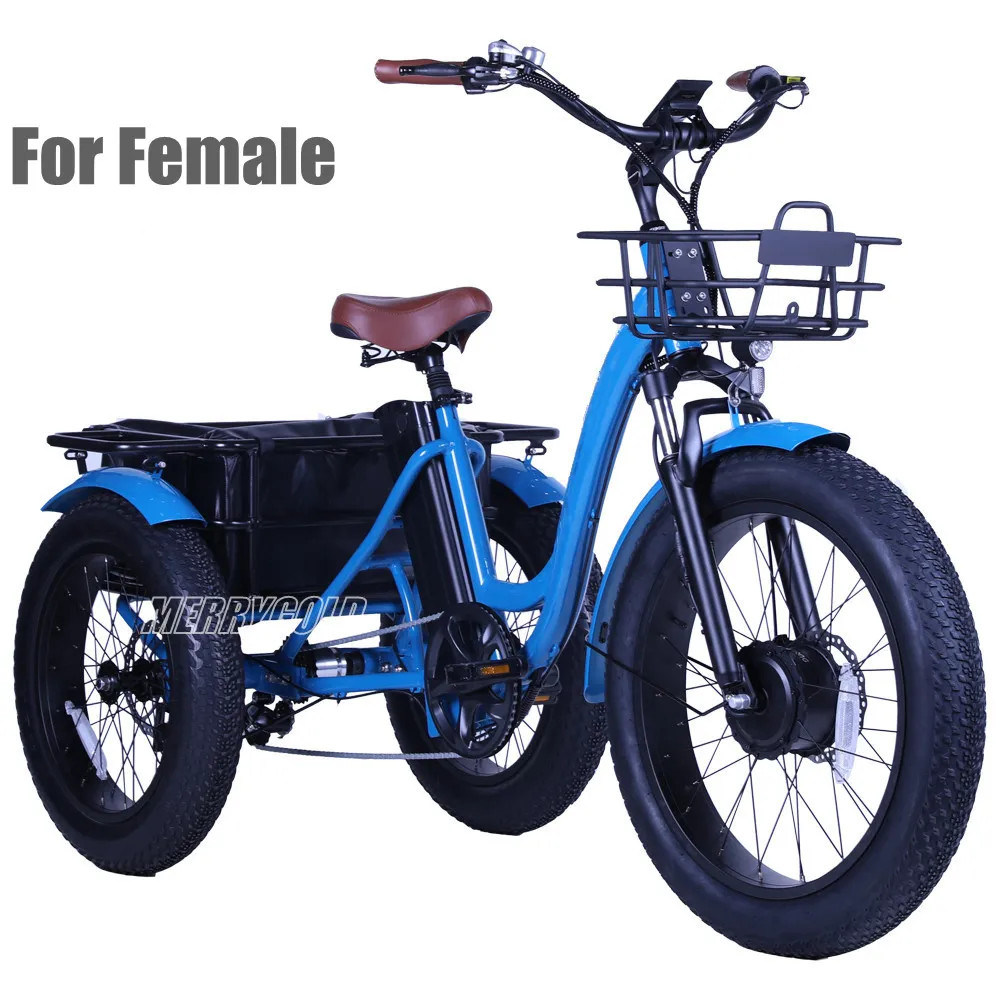 24 Inch Electric Trike 750W Motor Fat Tire 3 Wheel Trike Three Wheels Cargo Electric Bike Trike with Basket