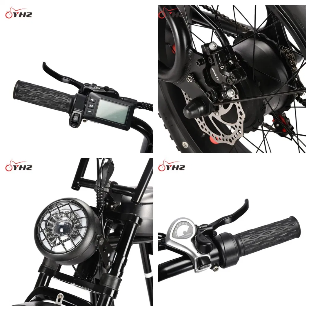 CE Big Tire Disc Brake Speedometer City Chopper Electric Bike Bicycle 500W