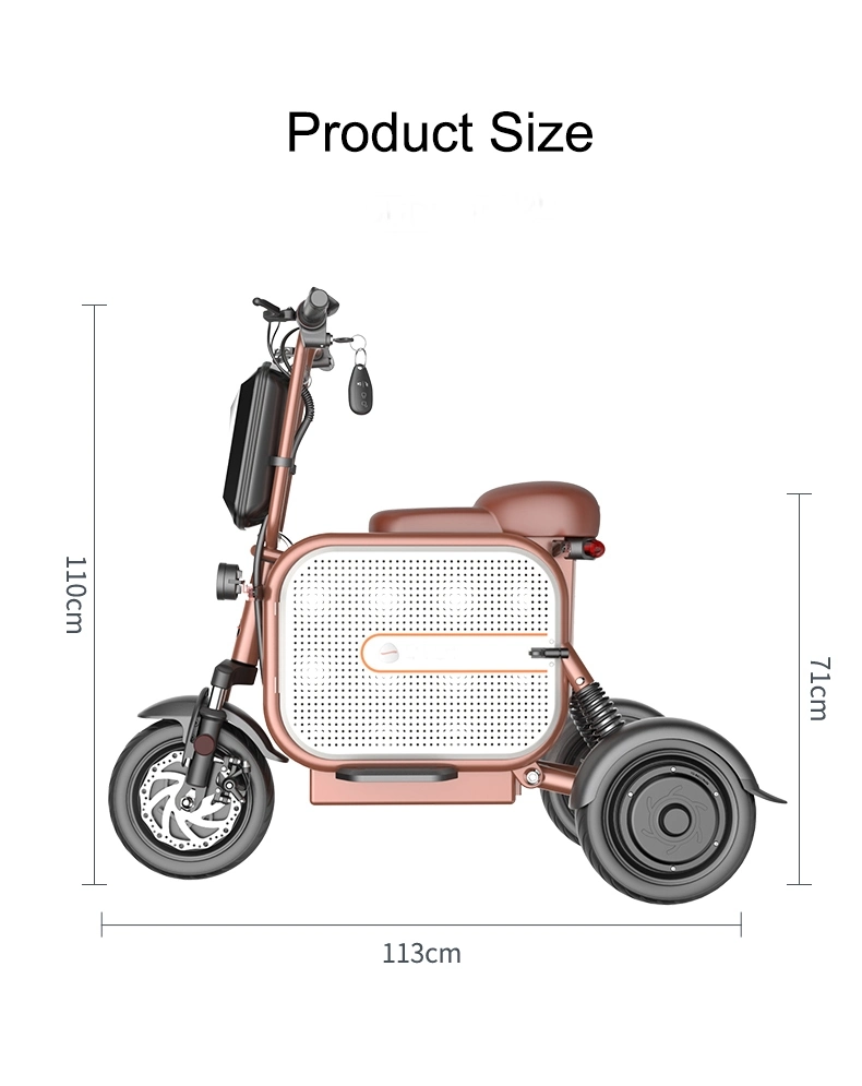 48V Adult 3 Wheel Electric Bicycle Mobility Scooter with Pet Basket and 500W/1000W Brushless Motors