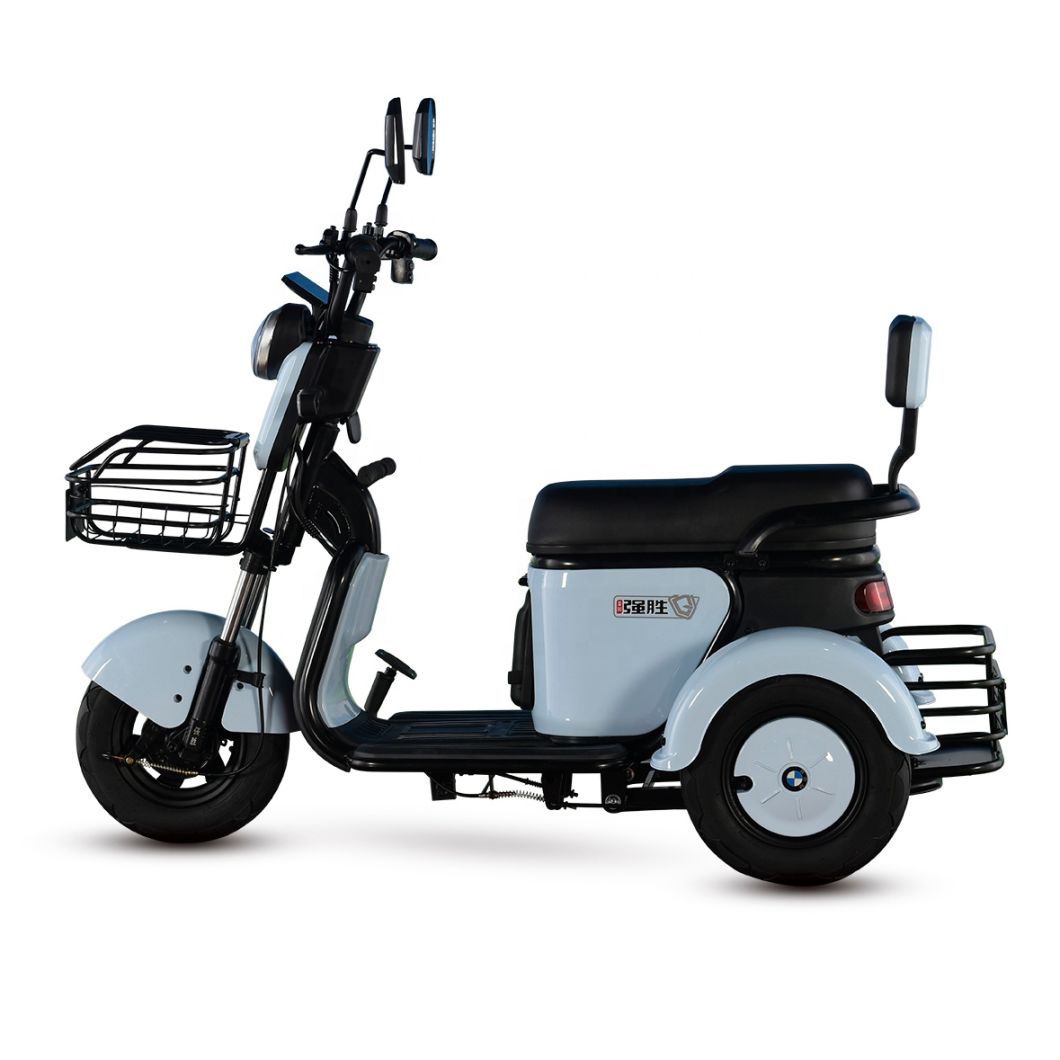 25km/H Motorized Tricycles for Adults Three Wheel Motor Bike