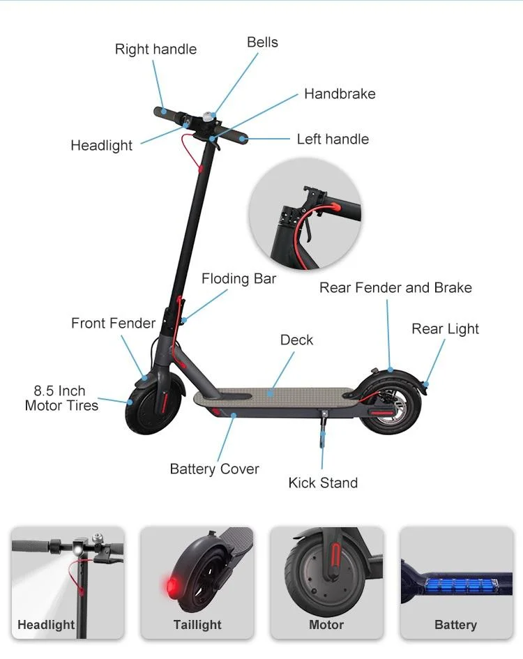 Electric Scooters Portable Scooter Folding 36V 250W 100kg M365 Scooter for Commuting