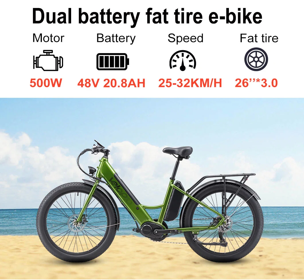 48V 750W Fat Tire 26inch Electric City Bike Electric Motorbike for Sale