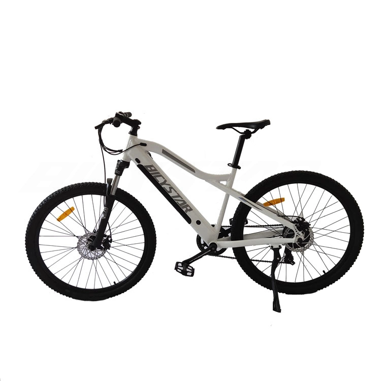 1000W Ebike with Fat Tires1000W Electric Bicycle1000W Electric Bike