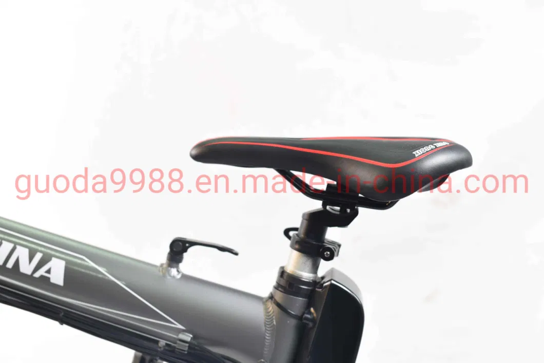 Lithium Battery Foldable Electric Bike with 3 Knife Rim Ebike