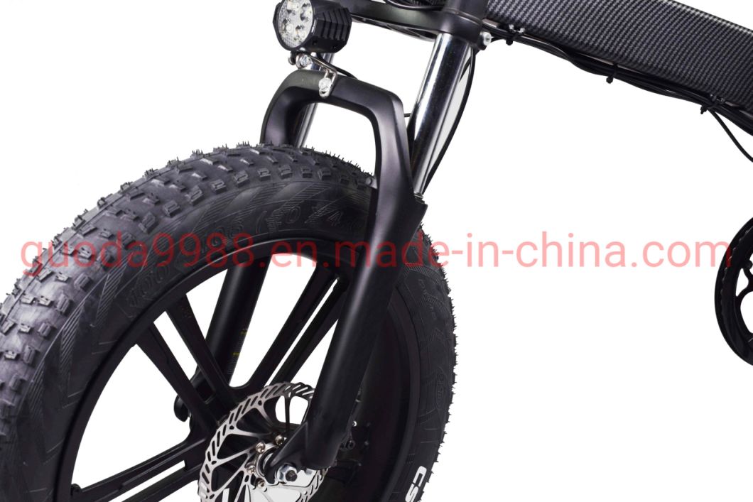 20 Inch Foldable Electric Bike 350W Motorcycle Bicycle Ebike
