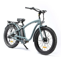 Delivery Aluminum Alloy Frame 20/26*2.125 Tyre Cargo Electric Bike