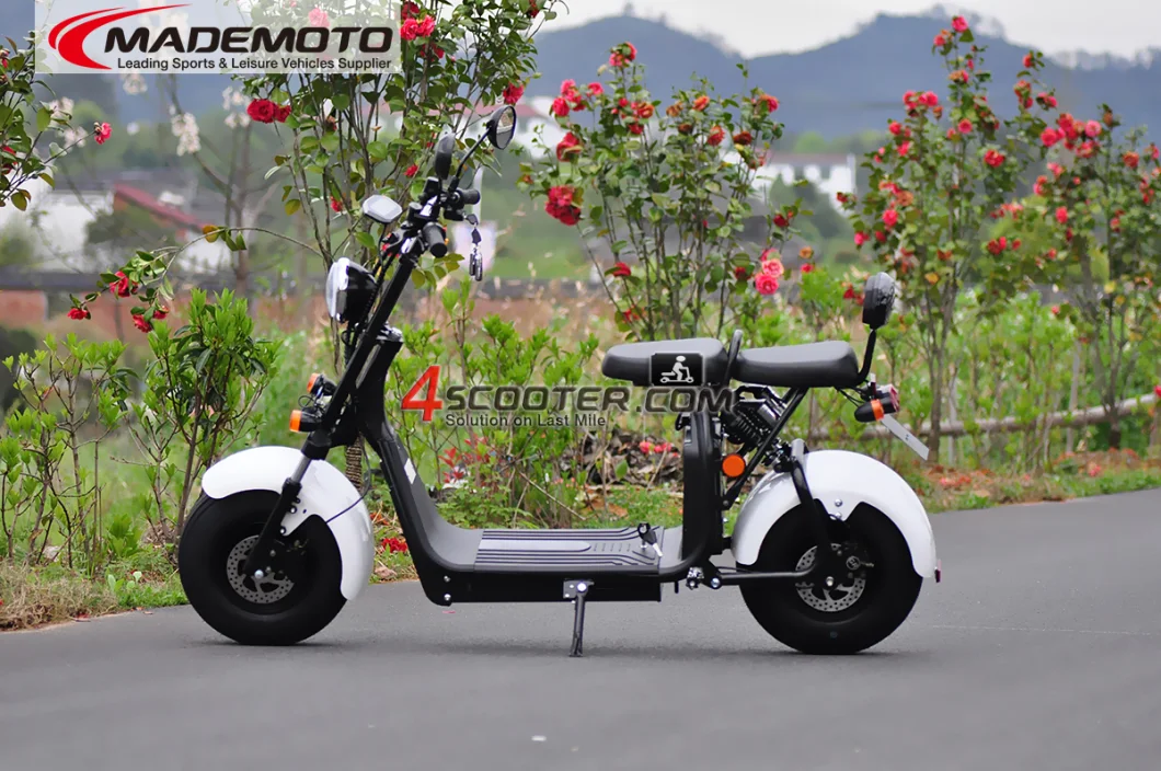 High Quality 2000W 5000W EEC Europe Road Legal Citycoco Electric Scooter Injection Molding Cycle