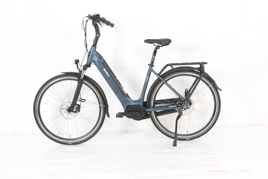 China Wholesale 28 Inch Electric Bicycle 36V 200-250W City Bicycle