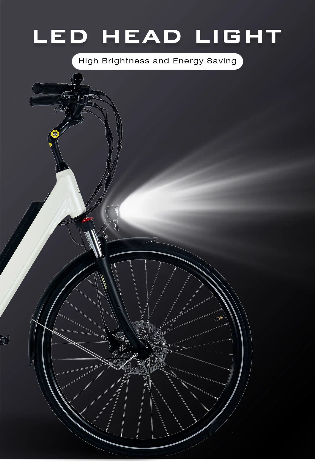 2023 Factory Price Ebike with Removable 36V Lithium Battery Electric Bike