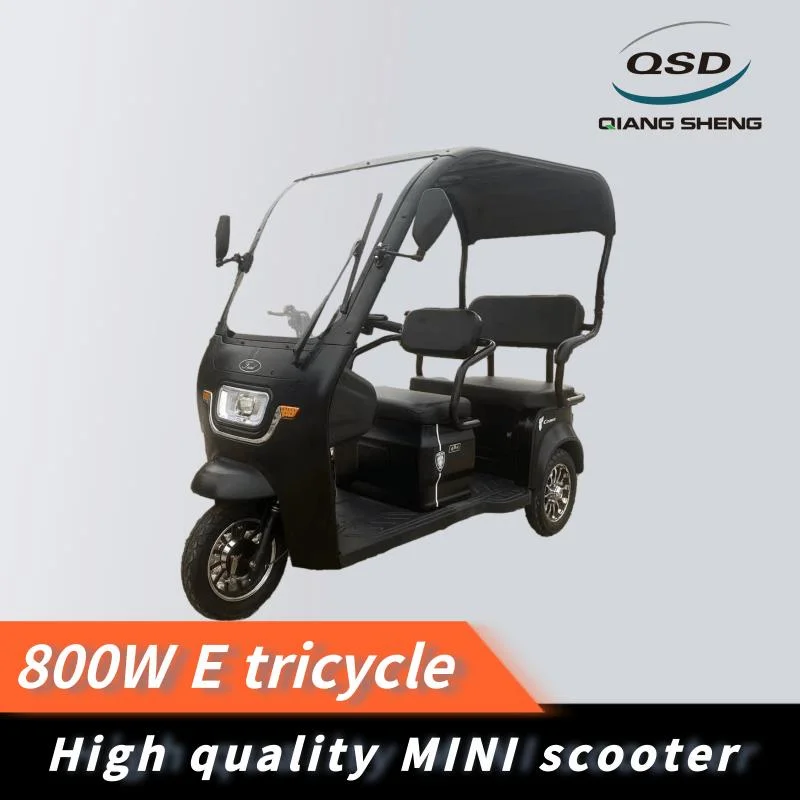 2023 Bajaj E Rickshaw Adult Small Bus 3 Wheel Scooter The Elderly Mini Electric Motor Tricycle Battery Power Bike for Sale From QS Factory
