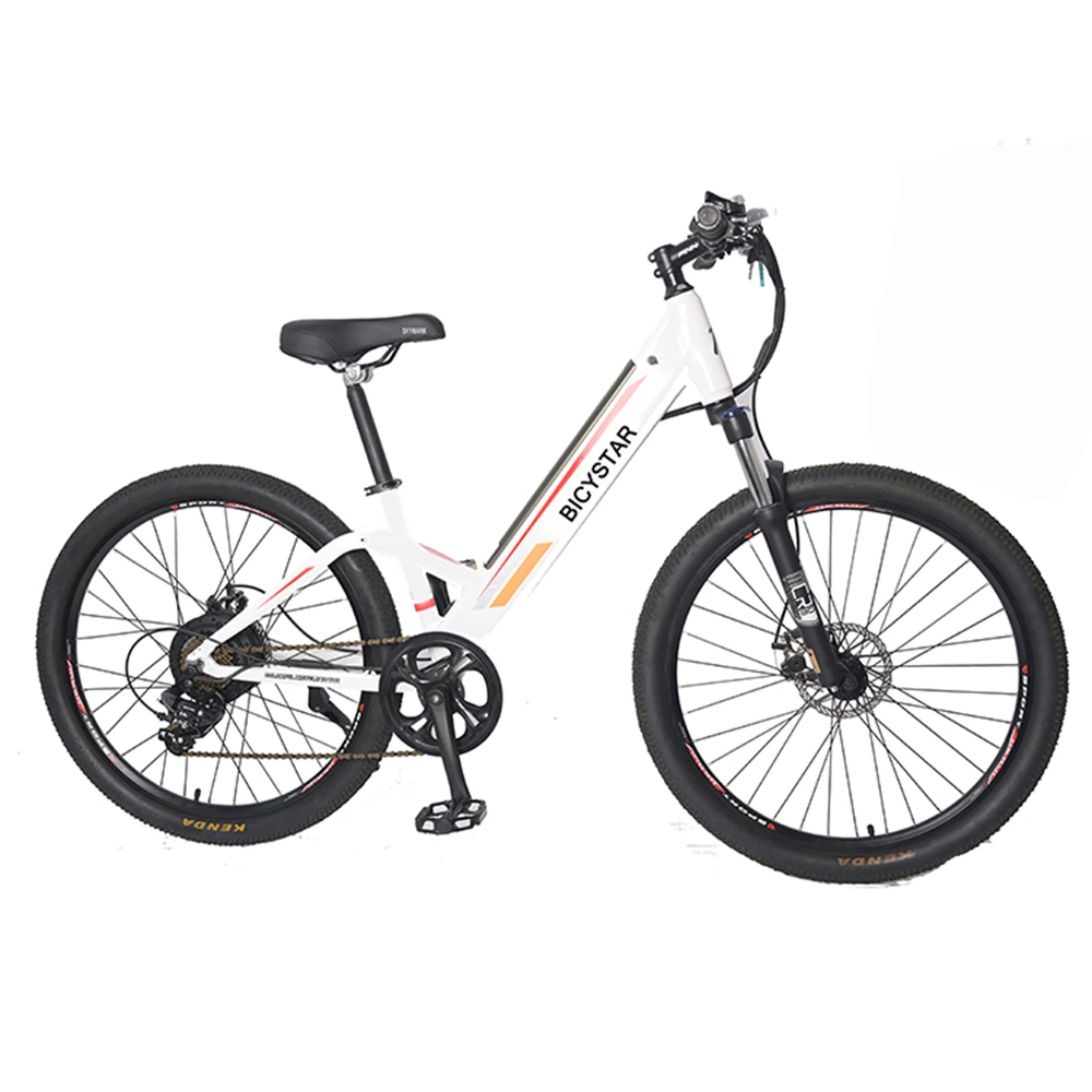 Cycle Electric Bicycle/Downhill Bike Electric/E Bicycle 2023/E Bicycle 27.5&quot;