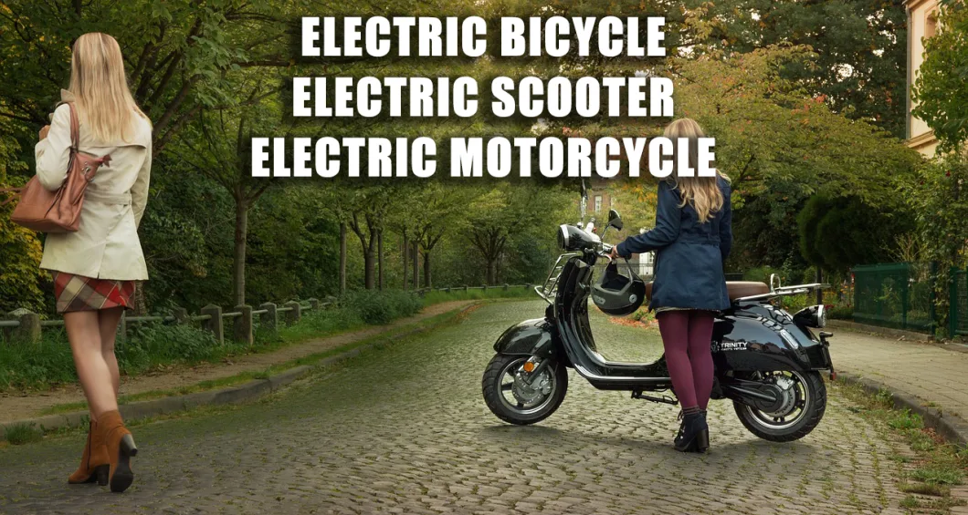 China New Type Electric Bicycle Electric Scooter 2 Seater 500W 48V20ah/60V20ah Optional Electric City Scooter Electric Motorcycle with Lead Acid Battery