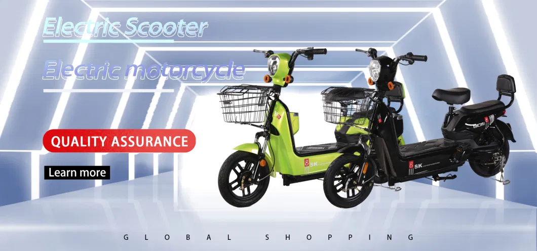 2023 Electric Motorcycle 72V20ah 1000W Motor Anti-Theft Alarm Electric Bicycle Scooter