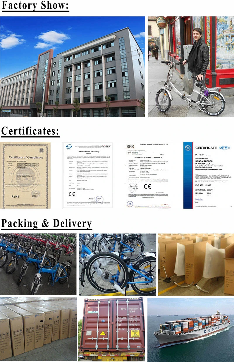 20inch 48V 10ah Sumsung Battery Electric Foldable Bicycle Ebike