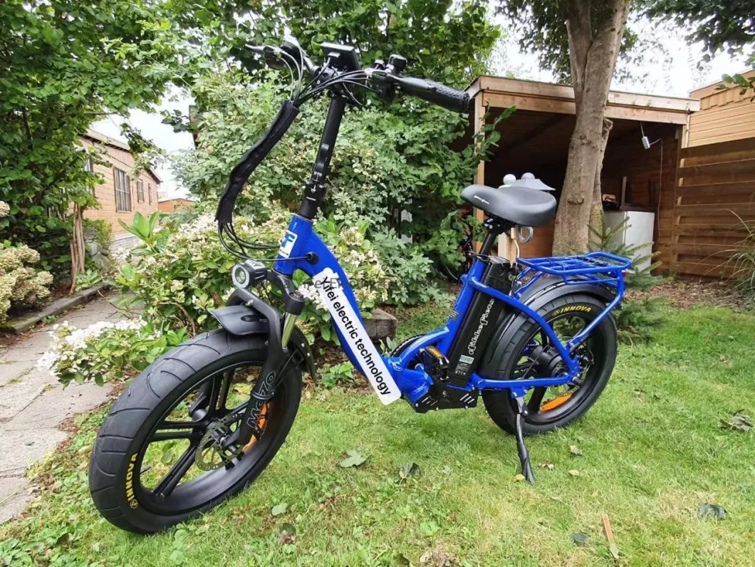 36V 10 Ah Electric Foldable Bike Bicycle En15194 (sii approved)