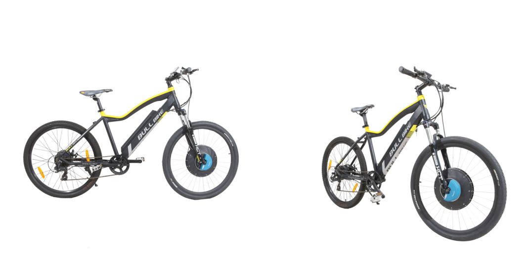 Ce Approval Foldable Electric Bike with Spoke Wheel MTB