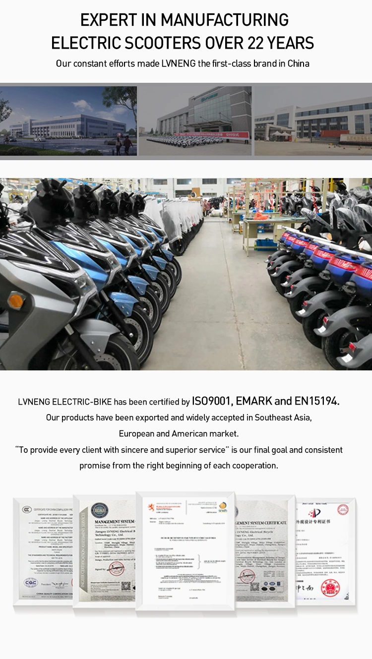 Lvneng Factory Sale Price 2023W 2 Wheel EEC Electric Scooter Adult