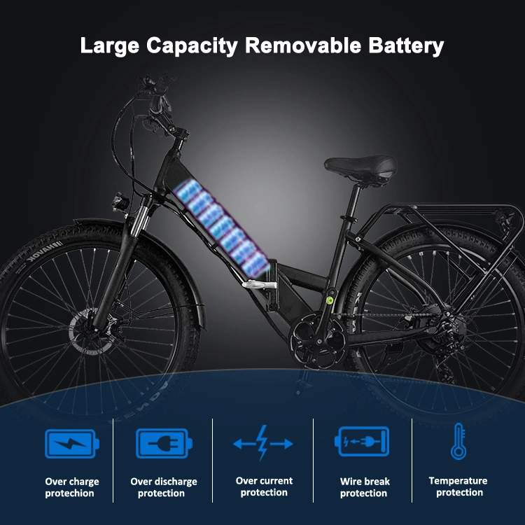 14ah Electrical Bike Mountain Bikes Electric Battery 48V 1000W E Bicycle OEM