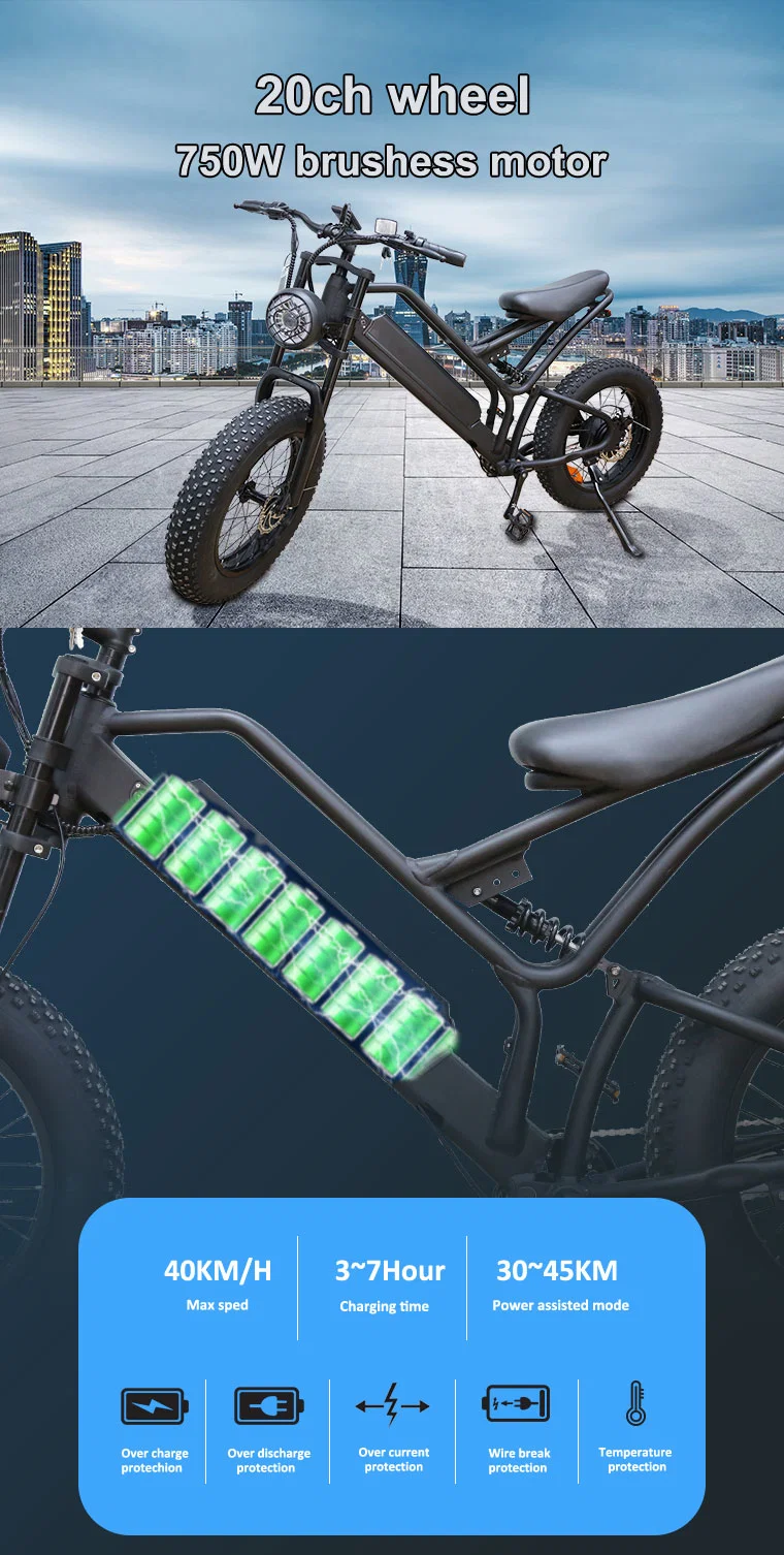 Lithium Battery Brushless Fat Tire Ebike 48V Electronic Bicycle 750W Electric E Bike